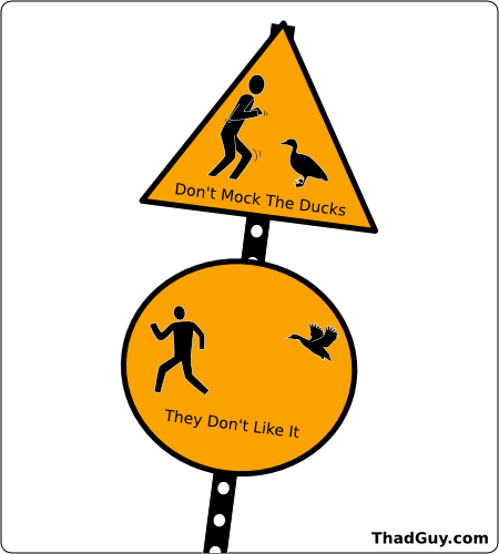 and they can fly